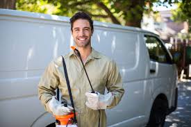 Best Termite Inspection and Treatment  in Puget Island, WA